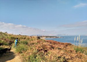 Camino de Santiago organizado de lujo