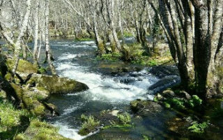 Etapa Carballedo-Sobrado dos Monxes