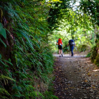 Camino de Santiago virtual